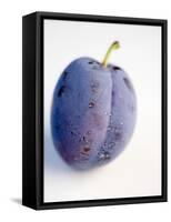 A Plum with Drops of Water-null-Framed Stretched Canvas