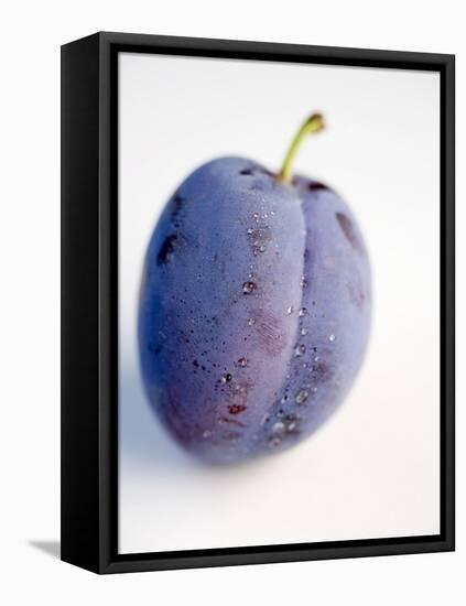 A Plum with Drops of Water-null-Framed Stretched Canvas