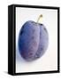 A Plum with Drops of Water-null-Framed Stretched Canvas