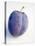 A Plum with Drops of Water-null-Stretched Canvas