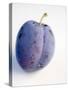 A Plum with Drops of Water-null-Stretched Canvas