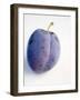 A Plum with Drops of Water-null-Framed Photographic Print