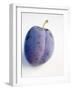 A Plum with Drops of Water-null-Framed Photographic Print