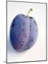 A Plum with Drops of Water-null-Mounted Photographic Print