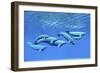 A Pod of Beluga Whales Swim Together Near the Surface-null-Framed Premium Giclee Print