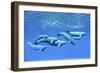 A Pod of Beluga Whales Swim Together Near the Surface-null-Framed Art Print