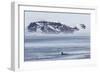 A Pod of Big Type B Killer Whales (Orcinus Orca) in Antarctic Sound-Michael Nolan-Framed Photographic Print