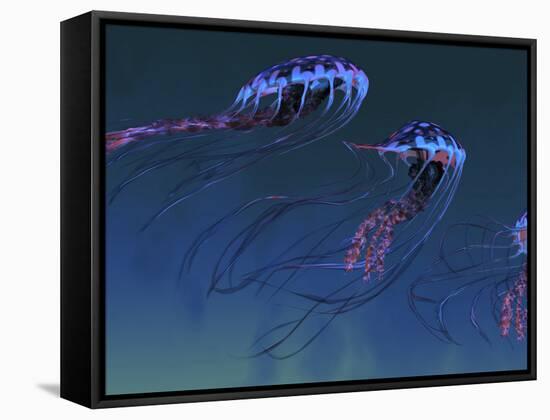 A Pod of Iridescent Red And Blue Jellyfish-Stocktrek Images-Framed Stretched Canvas