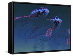 A Pod of Iridescent Red And Blue Jellyfish-Stocktrek Images-Framed Stretched Canvas