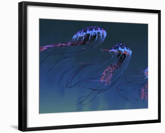 A Pod of Iridescent Red And Blue Jellyfish-Stocktrek Images-Framed Photographic Print