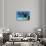 A Pod of Killer Whales Swim Along a Reef Looking for Fish Prey-null-Stretched Canvas displayed on a wall
