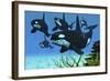 A Pod of Killer Whales Swim Along a Reef Looking for Fish Prey-null-Framed Art Print