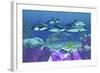 A Pod of Striped Dolphins Swim over an Old Boat Wreck-null-Framed Art Print