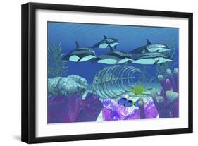 A Pod of Striped Dolphins Swim over an Old Boat Wreck-null-Framed Premium Giclee Print