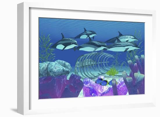 A Pod of Striped Dolphins Swim over an Old Boat Wreck-null-Framed Premium Giclee Print