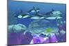 A Pod of Striped Dolphins Swim over an Old Boat Wreck-null-Mounted Premium Giclee Print