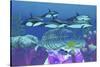 A Pod of Striped Dolphins Swim over an Old Boat Wreck-null-Stretched Canvas