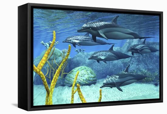 A Pod of Striped Dolphins Swimming Along a Reef-null-Framed Stretched Canvas