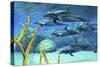 A Pod of Striped Dolphins Swimming Along a Reef-null-Stretched Canvas