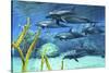 A Pod of Striped Dolphins Swimming Along a Reef-null-Stretched Canvas
