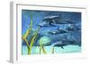 A Pod of Striped Dolphins Swimming Along a Reef-null-Framed Premium Giclee Print