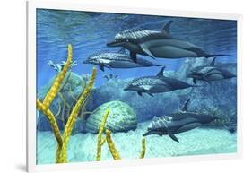 A Pod of Striped Dolphins Swimming Along a Reef-null-Framed Art Print