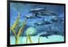 A Pod of Striped Dolphins Swimming Along a Reef-null-Framed Art Print