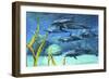 A Pod of Striped Dolphins Swimming Along a Reef-null-Framed Art Print