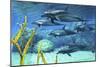 A Pod of Striped Dolphins Swimming Along a Reef-null-Mounted Art Print