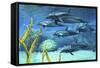 A Pod of Striped Dolphins Swimming Along a Reef-null-Framed Stretched Canvas