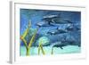 A Pod of Striped Dolphins Swimming Along a Reef-null-Framed Art Print