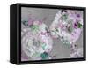 A Poetic Floral Montage from Pink Roses and Begonia Blossoms on Painted Wooden Background-Alaya Gadeh-Framed Stretched Canvas