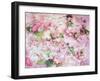 A Poetic Floral Montage from Pink Roses on Painted Texture-Alaya Gadeh-Framed Photographic Print