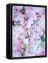 A Poetic Floral Montage from Pink Roses on Painted Texture-Alaya Gadeh-Framed Stretched Canvas