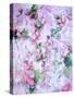 A Poetic Floral Montage from Pink Roses on Painted Texture-Alaya Gadeh-Stretched Canvas