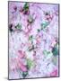A Poetic Floral Montage from Pink Roses on Painted Texture-Alaya Gadeh-Mounted Photographic Print