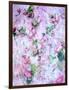 A Poetic Floral Montage from Pink Roses on Painted Texture-Alaya Gadeh-Framed Photographic Print