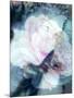 A Poetic Floral Montage of a Portrait-Alaya Gadeh-Mounted Photographic Print