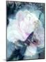 A Poetic Floral Montage of a Portrait-Alaya Gadeh-Mounted Photographic Print