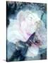 A Poetic Floral Montage of a Portrait-Alaya Gadeh-Stretched Canvas