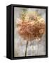 A Poetic Floral Montage of Daisy and Lily-Alaya Gadeh-Framed Stretched Canvas