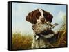 A Pointer with a Quail Amongst Clover-Arthur Fitzwilliam Tait-Framed Stretched Canvas