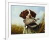 A Pointer with a Quail Amongst Clover-Arthur Fitzwilliam Tait-Framed Giclee Print