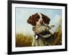 A Pointer with a Quail Amongst Clover-Arthur Fitzwilliam Tait-Framed Giclee Print