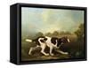 A Pointer-George Stubbs-Framed Stretched Canvas