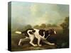 A Pointer-George Stubbs-Stretched Canvas