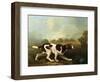 A Pointer-George Stubbs-Framed Giclee Print