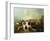 A Pointer-George Stubbs-Framed Giclee Print