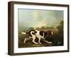 A Pointer-George Stubbs-Framed Giclee Print