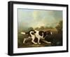 A Pointer-George Stubbs-Framed Giclee Print